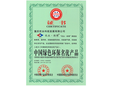 重庆91视频成人网站设计