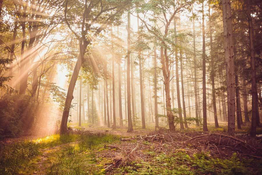 小鵬鯤鵬超級電動技術實現430km純電續航